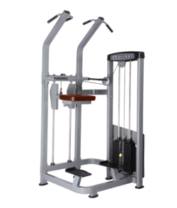 BRONZE GYM D-008 Турник/Брусья с противовесом